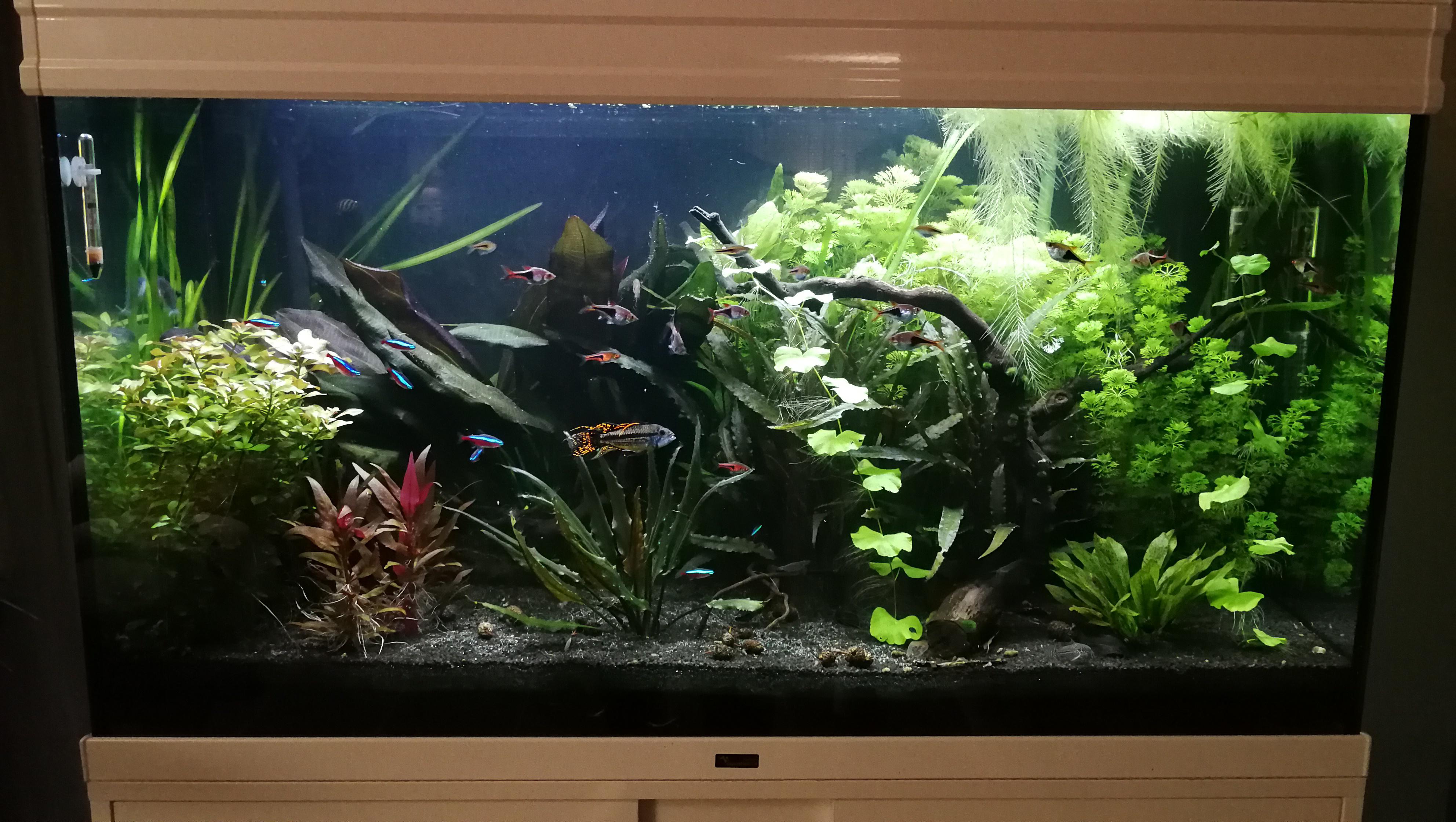 Description projet 1