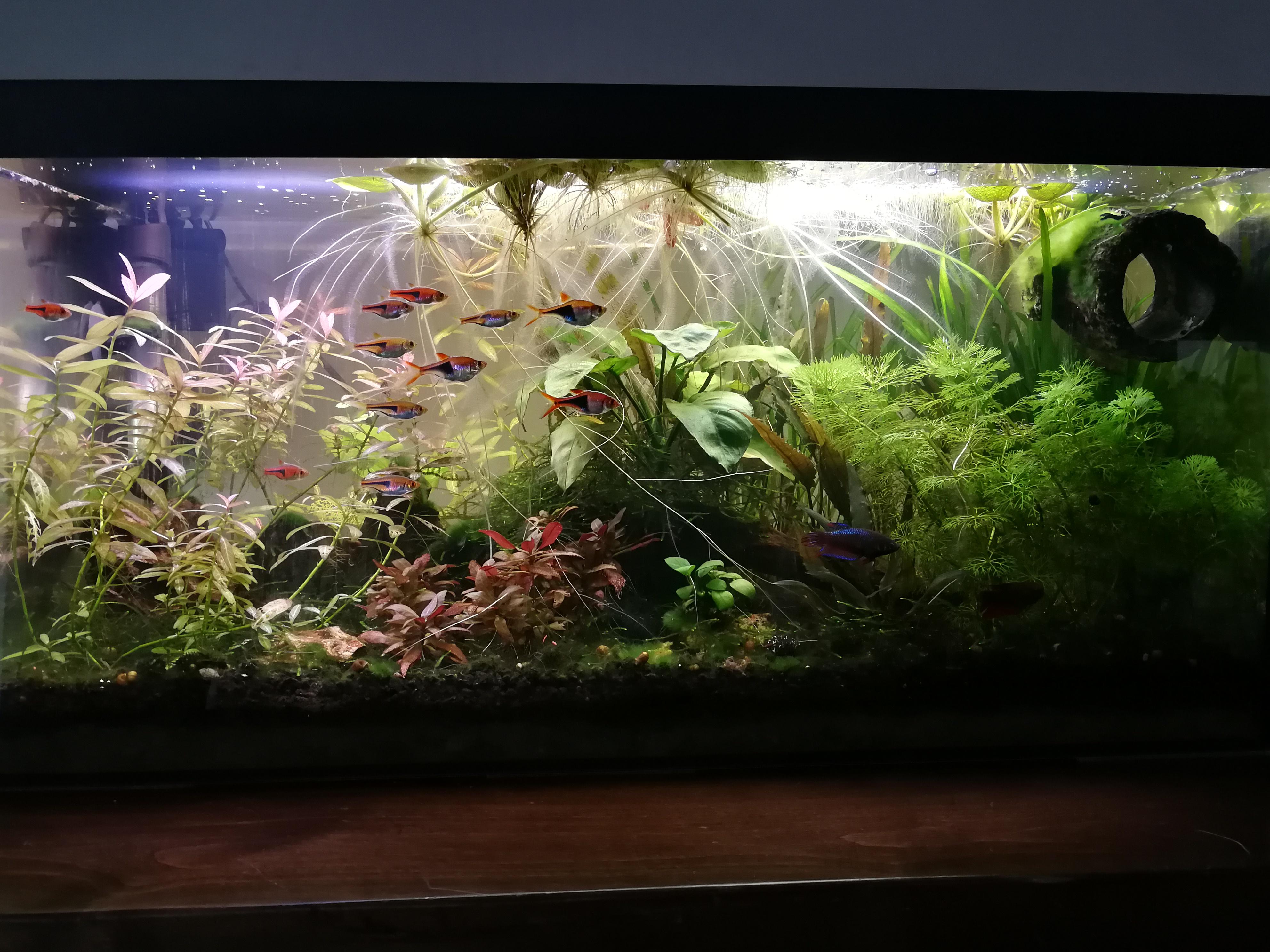 Description projet 2