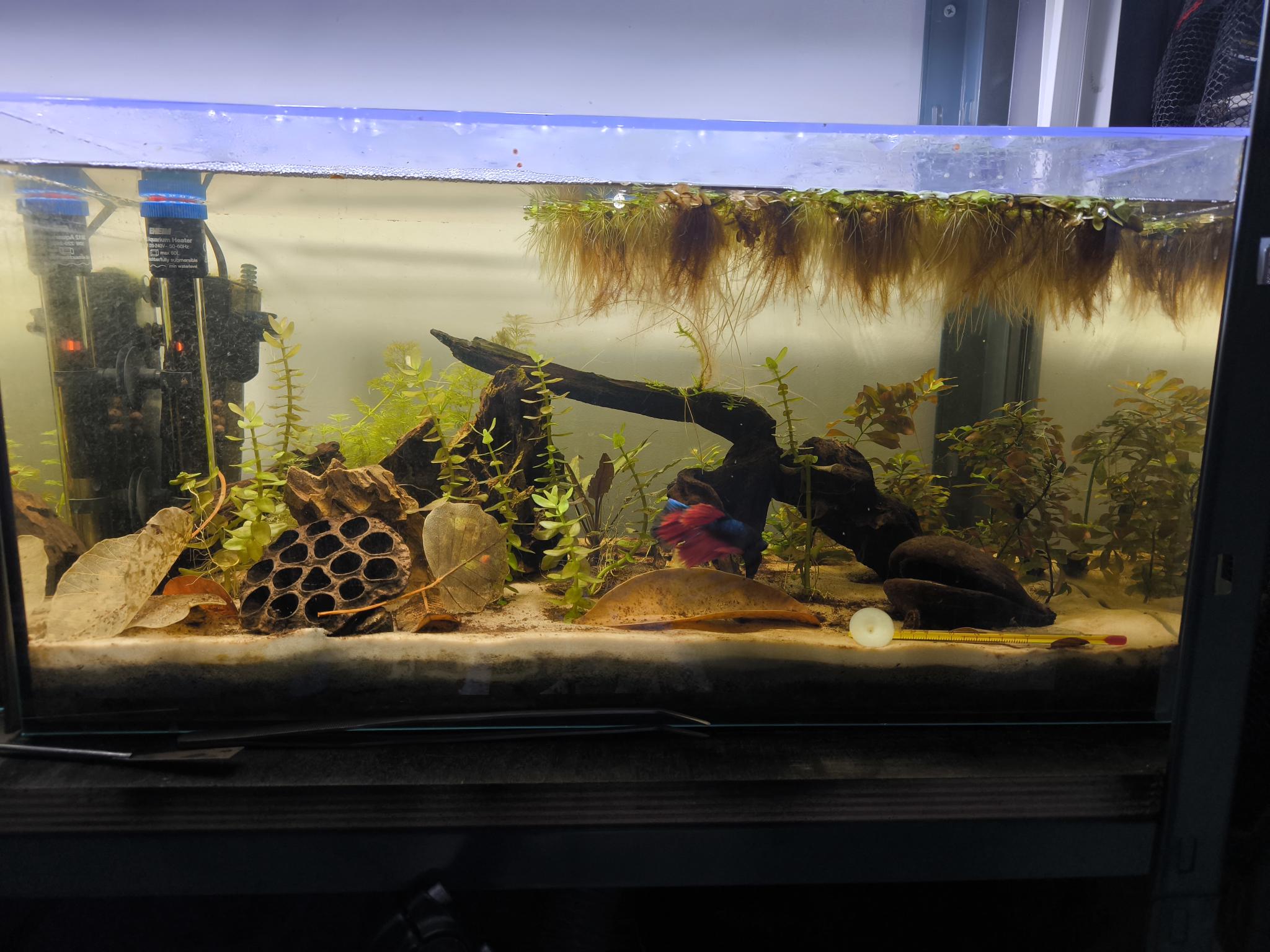 Description projet 3