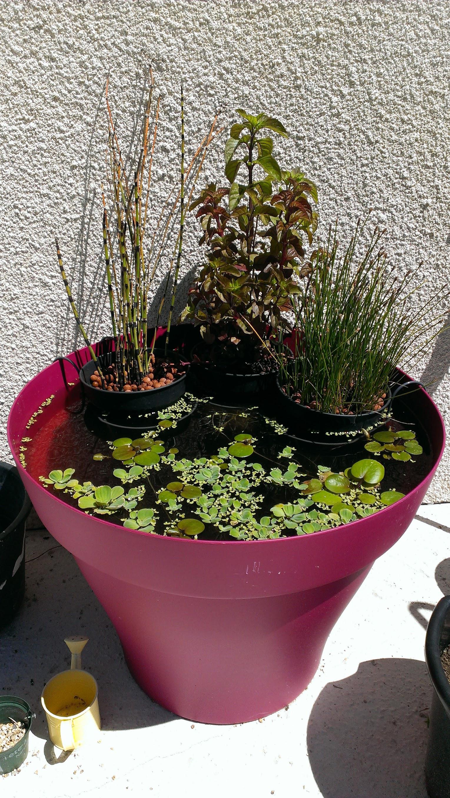 Description projet 3